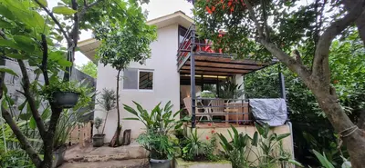 کلبه یک خوابه جکوزی دار پارادایس