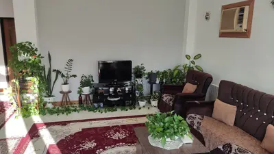 ویلا دوخوابه جنگلی دلنشین