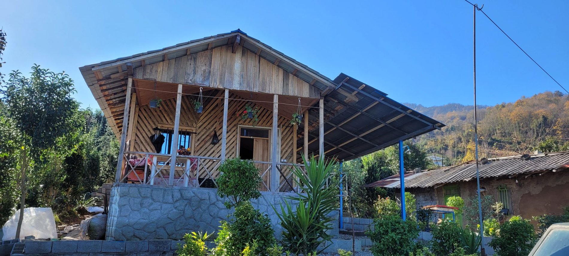 فلت جنگلی دنیا 2