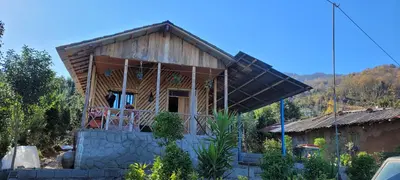 کلبه فلت جنگلی دنیا 2