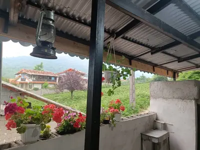 سوئیت یک خوابه دریادل