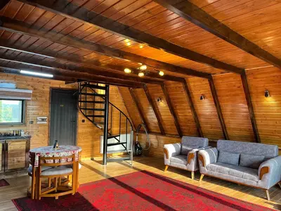 کلبه یک خوابه سوئیسی جنگلی خطیر