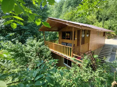 کلبه یک خوابه جنگلی شاهان