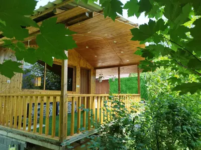 کلبه یک خوابه جنگلی شاهان