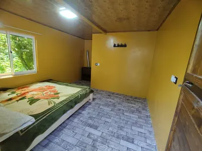 کلبه یک خوابه جنگلی شاهان