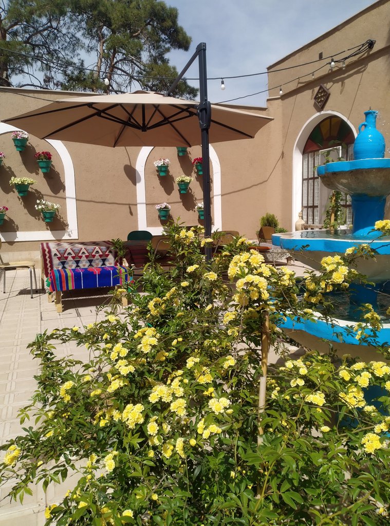 کاج کهن - واحد فیروزه