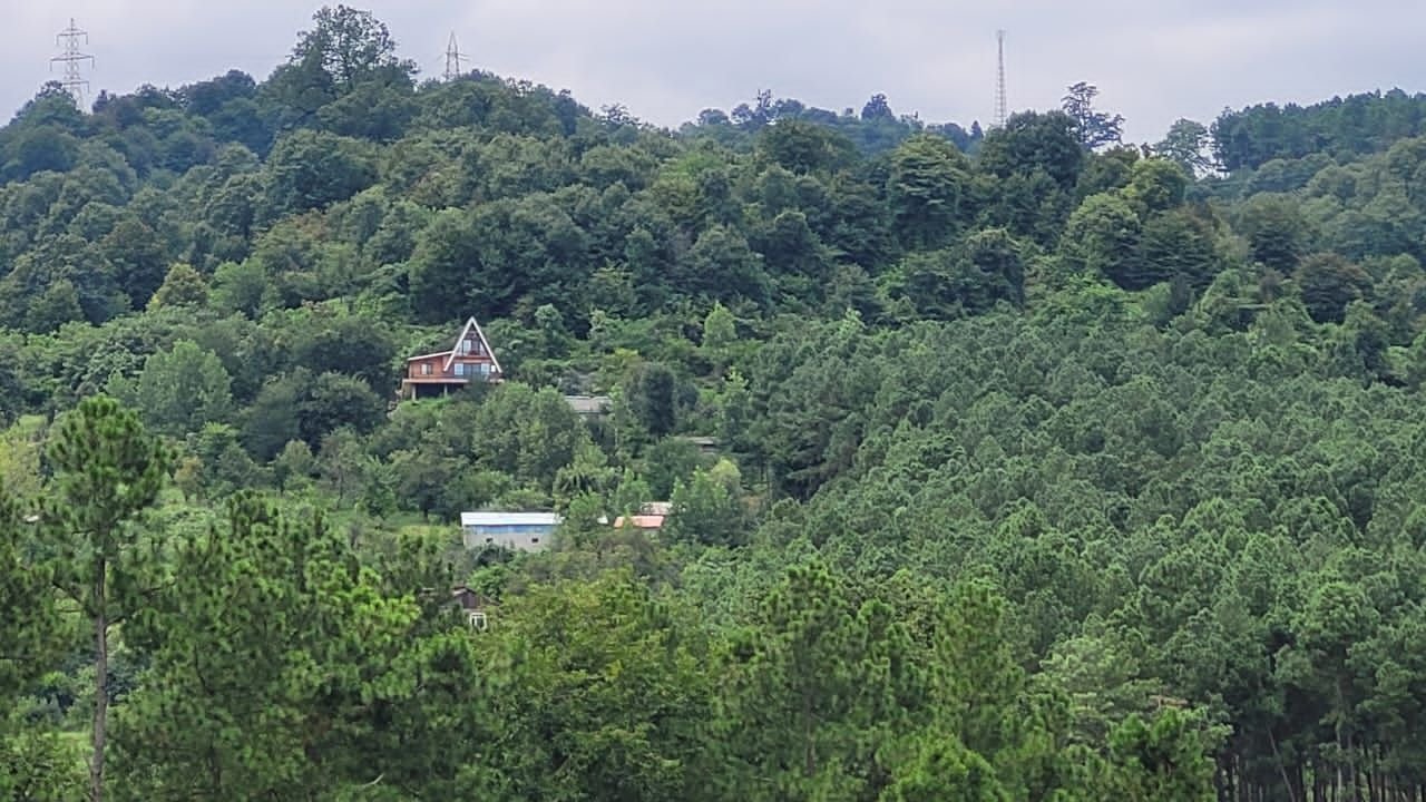 کلبه چوبی جنگلی کوهپایه‌ای کاج