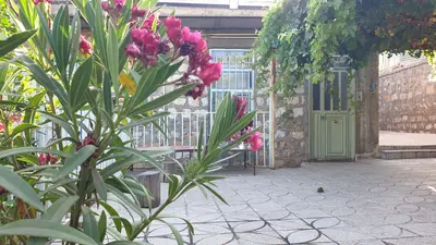 ویلا دوخوابه جنگلی نزارە