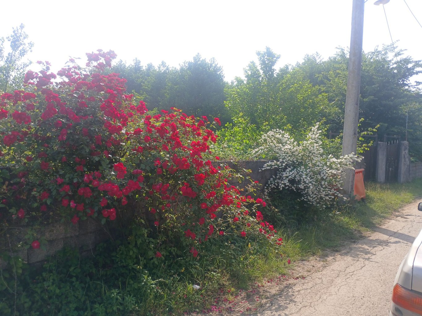 ویلا یک خوابه کاکایی