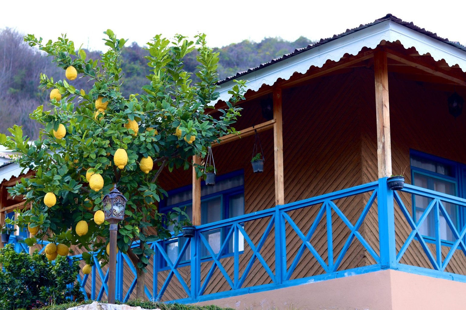 یک خوابه کارکو واحد ۲