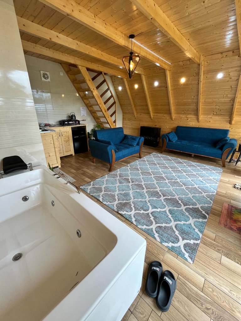 یک خوابه سوئیسی جکوزی دار میرکا لفور