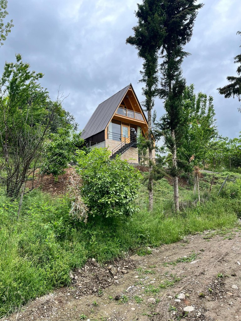 یک خوابه سوئیسی جکوزی دار میرکا لفور