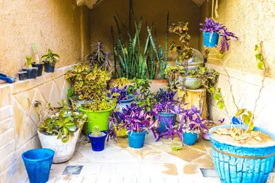 اقامتگاه سنتی سرای کاسیان - واحد 111 دبل سه دری