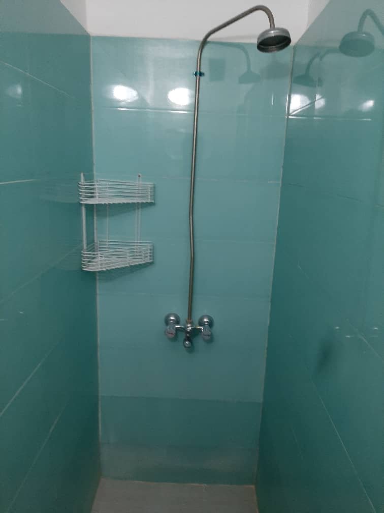 متا - واحد زیما