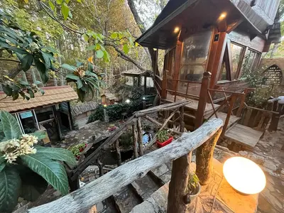 بومگردی قلات - واحد چم چنار