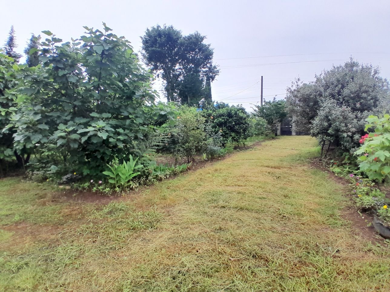 ویلا دوخوابه جنگلی پونل 1