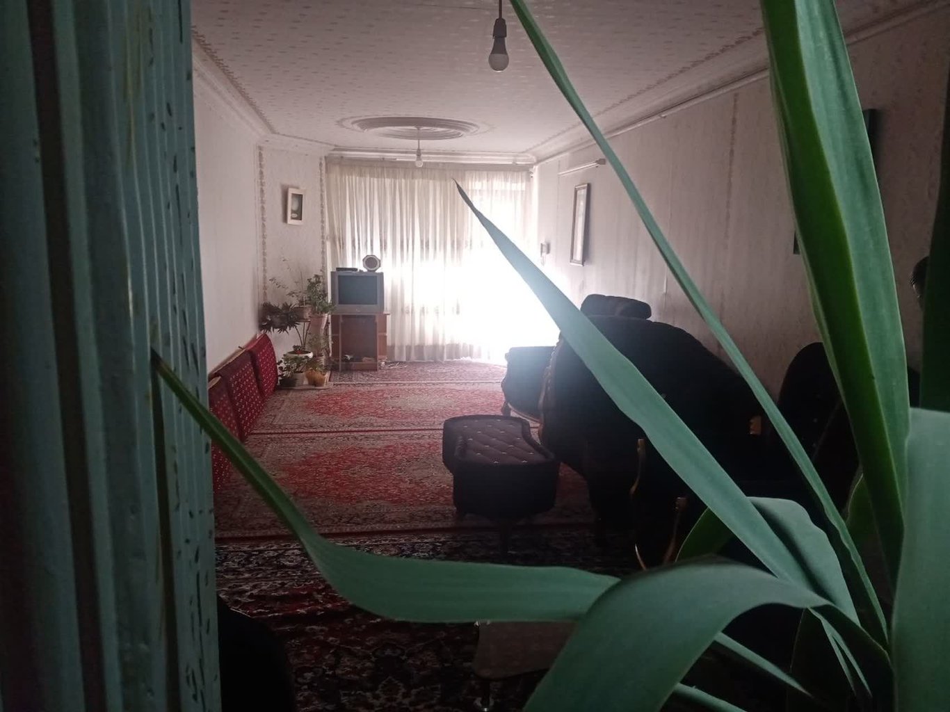 سوئیت یک خوابه سرای سید - نمای هال