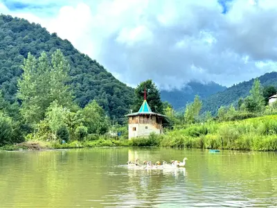 کلبه فلت جنگلی دریاچه لفور