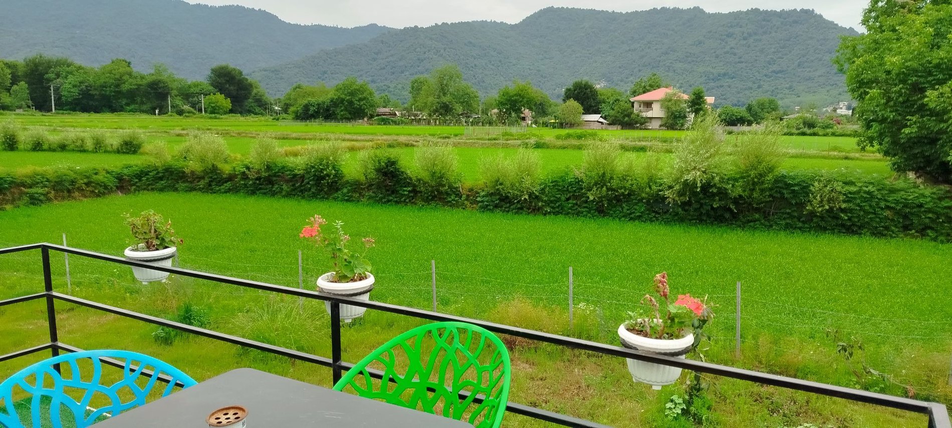 یک خوابه چوبی عشق