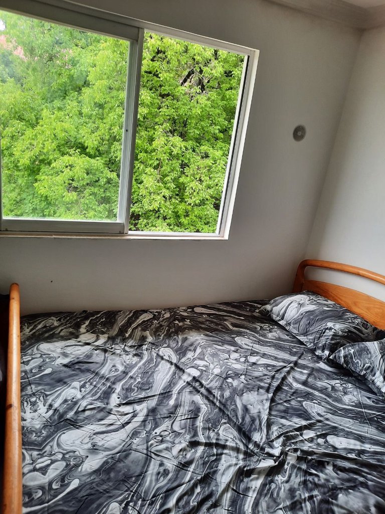 یک خوابه جنگلی فیلبند