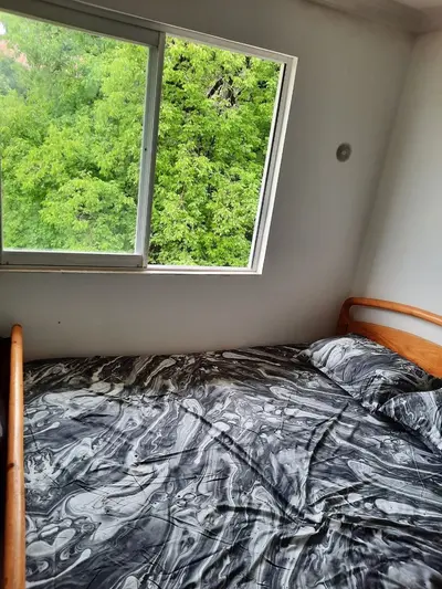 سوئیت یک خوابه جنگلی فیلبند