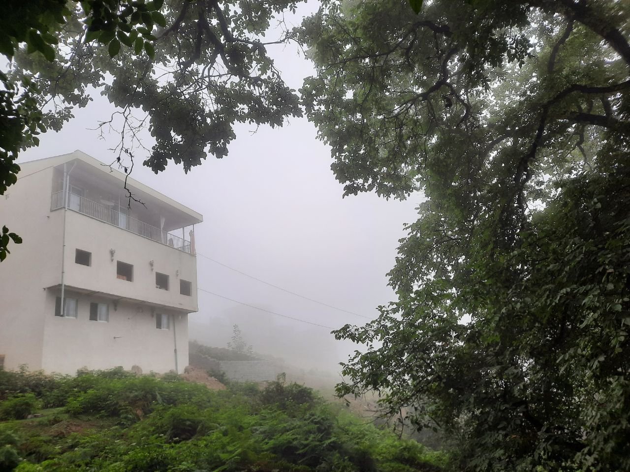 یک خوابه جنگلی فیلبند