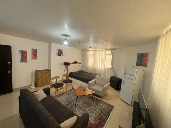 مجتمع اقامتگاهی هتل آپارتمان ملاصدرا  - واحد ۱۰