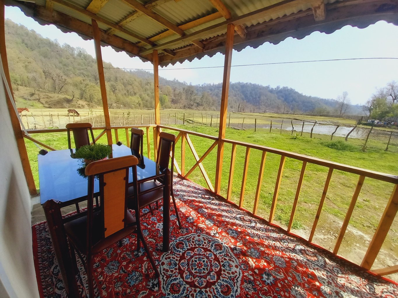 کلبه یک خوابه فرنود