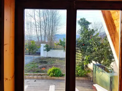 کلبه یک خوابه سوئیسی گرین کابین