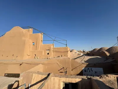 سوئیت فلت فنیک