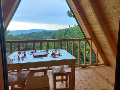 کلبه یک خوابه جنگلی عسل