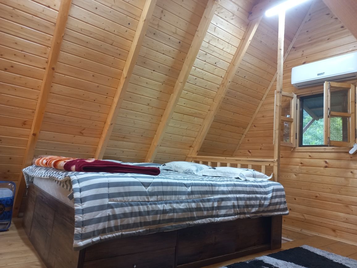 یک خوابه جنگلی عسل