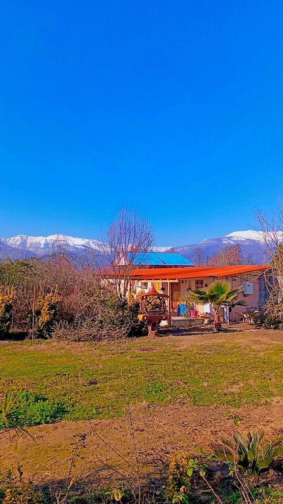 سوئیت فلت یاسی 1