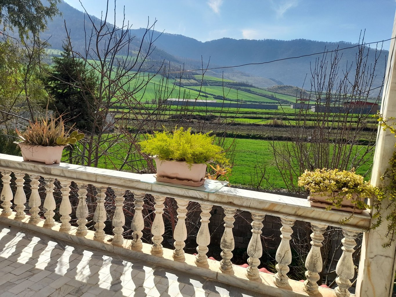 ویلا دوخوابه روستایی گندم