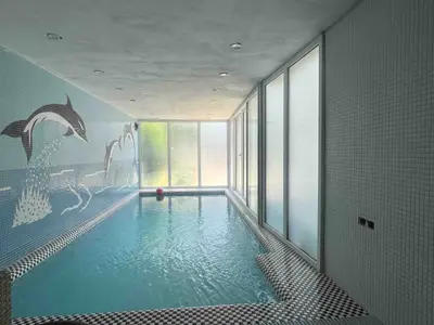 ویلا سه خوابه استخردار آبگرم آویدر