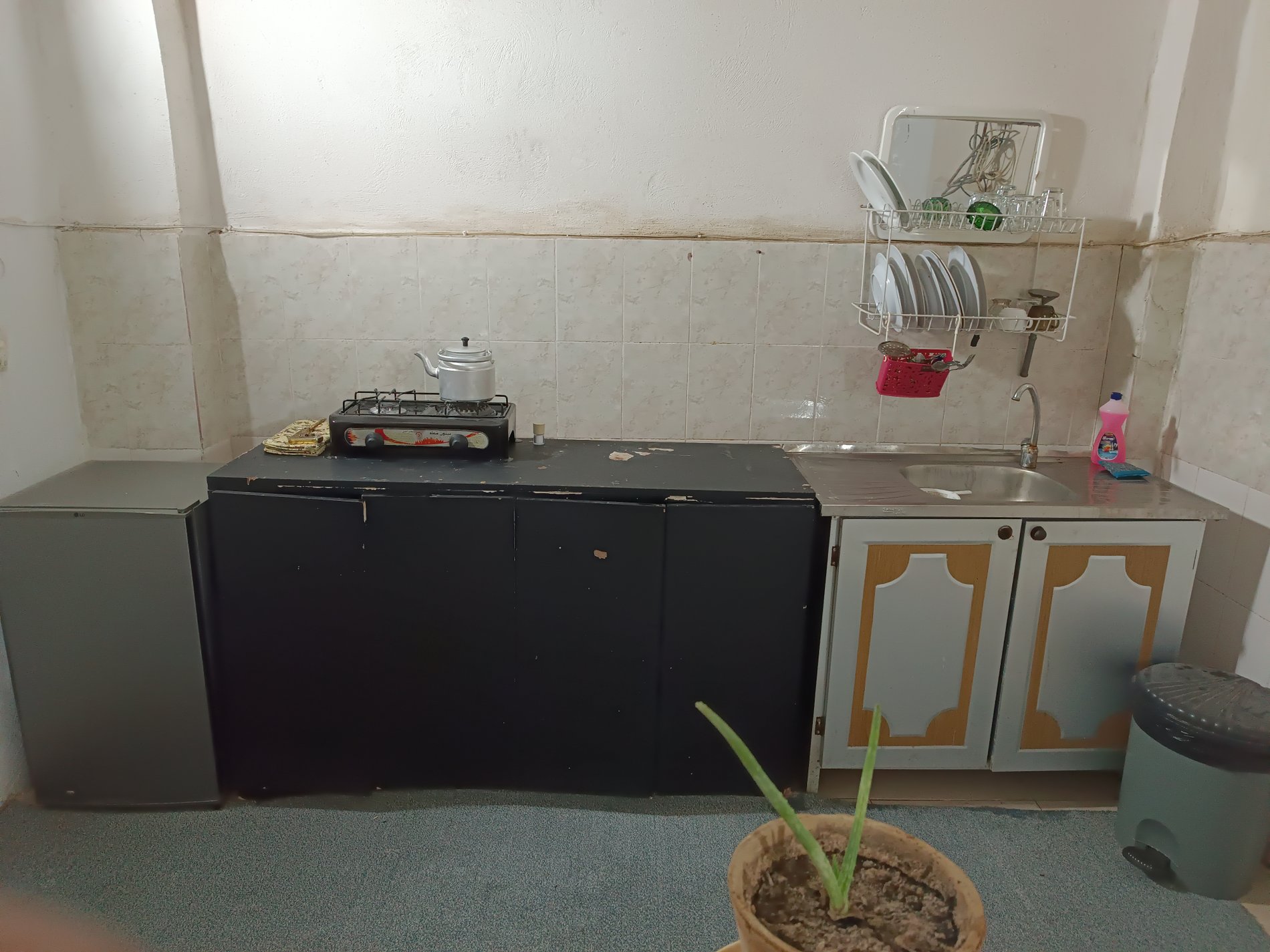 سوئیت یک خوابه نخل قاسمی