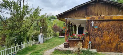 ویلا دوخوابه جنگلی پرتقالی