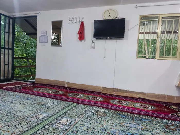 فلت باغ دلگشا 2 - تلویزیون 