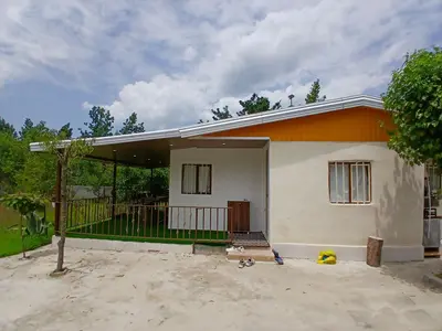 سوئیت یک خوابه جنگلی ماز