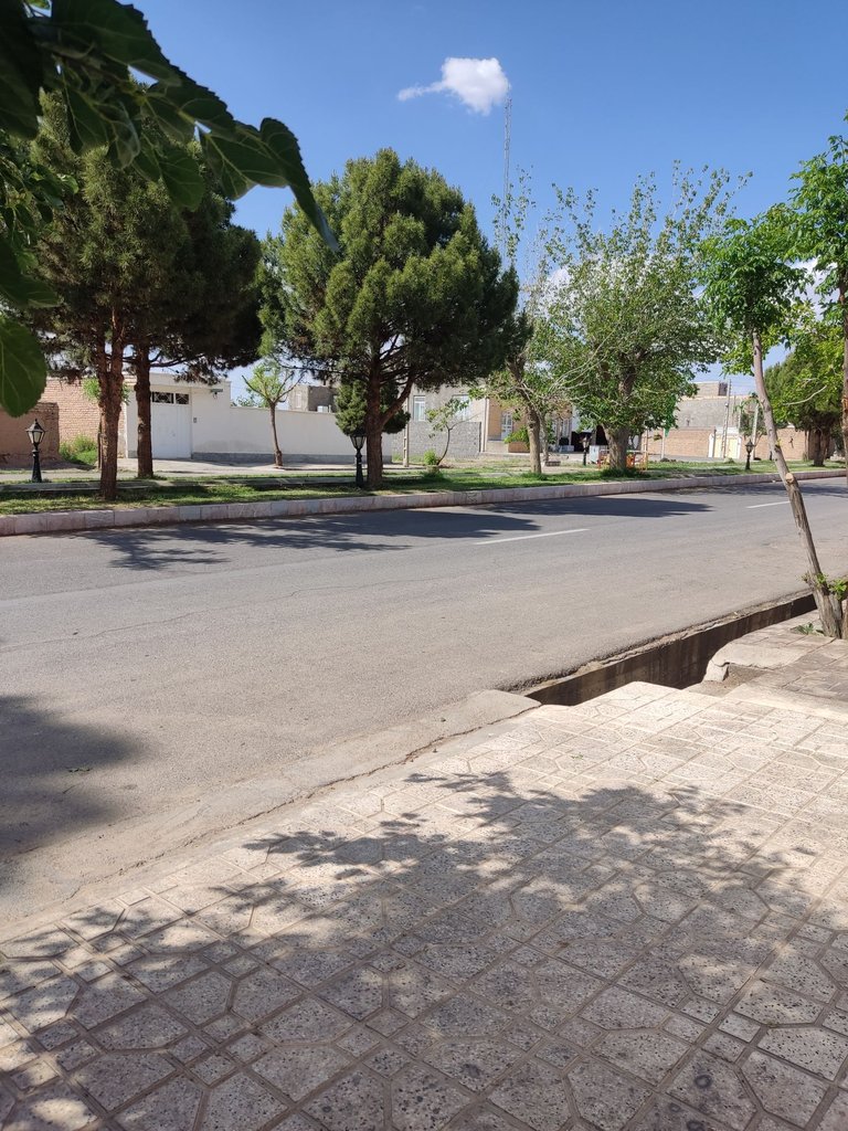 فلت اسلامیه