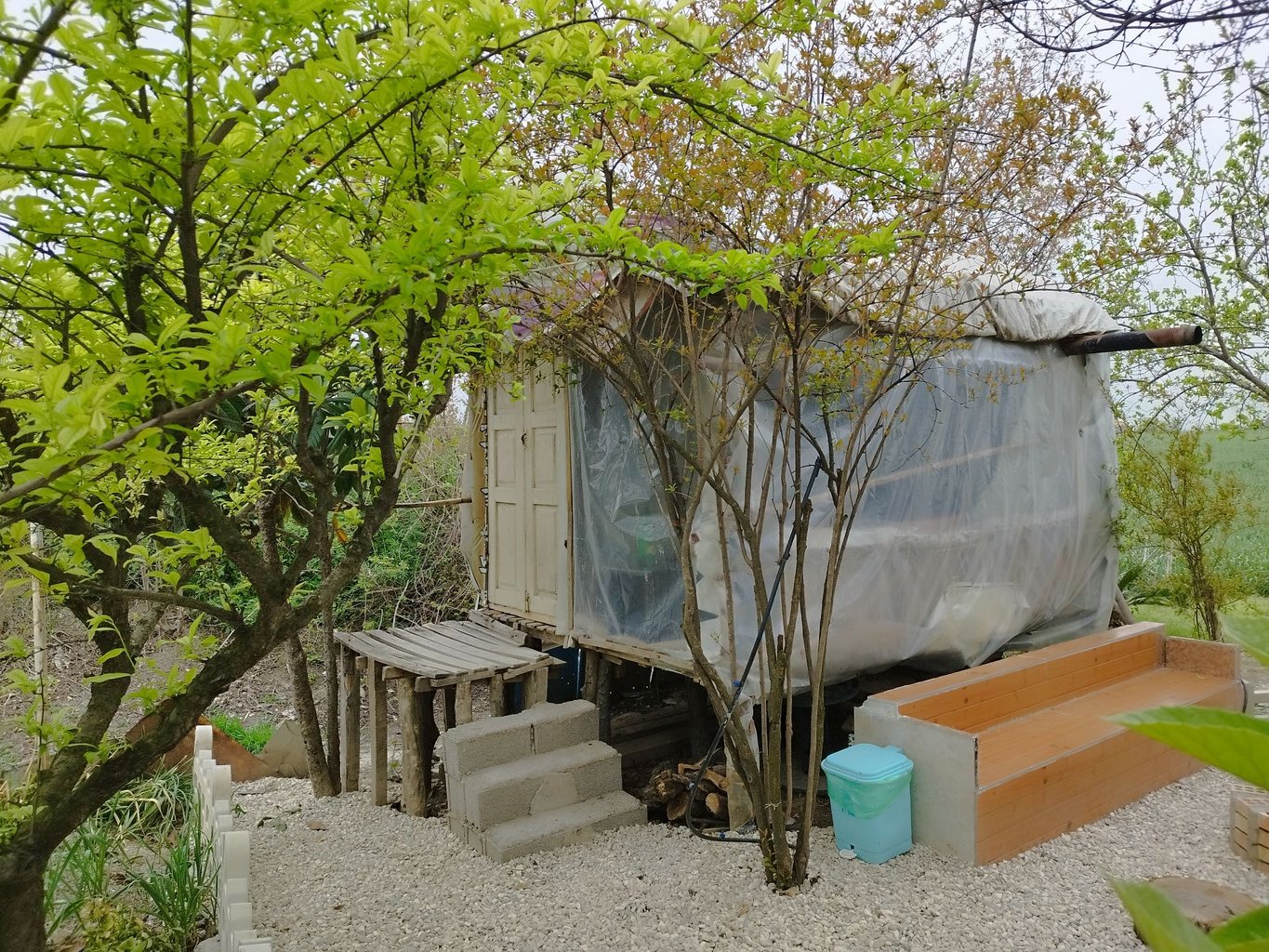 دوخوابه دلپسند