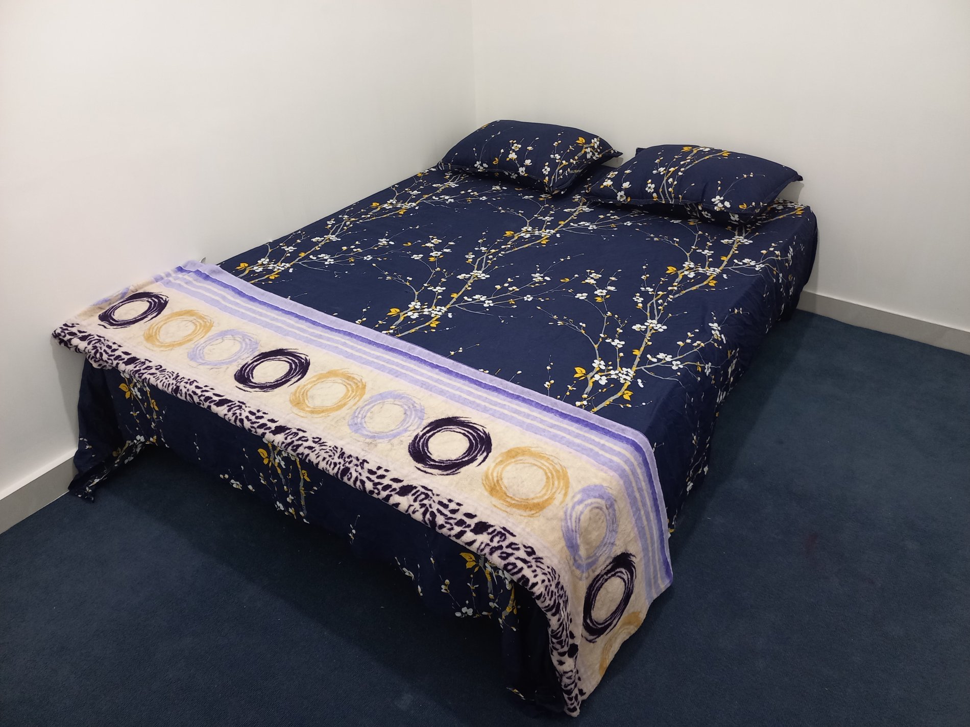 آپارتمان یک خوابه بالول