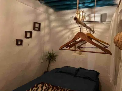 بومگردی مغ - واحد 5