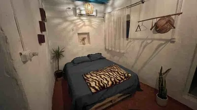 بومگردی مغ - واحد 5