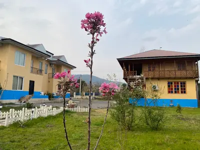 کلبه فلت پای کوه دران ۲