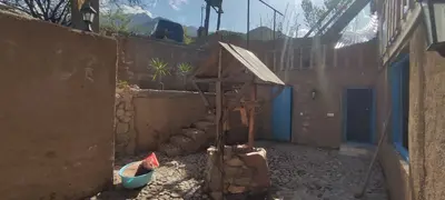 بومگردی کلاری -  واحد سرو