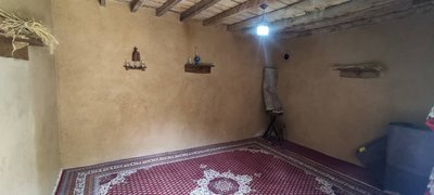 بومگردی کلاری - واحد توسکا