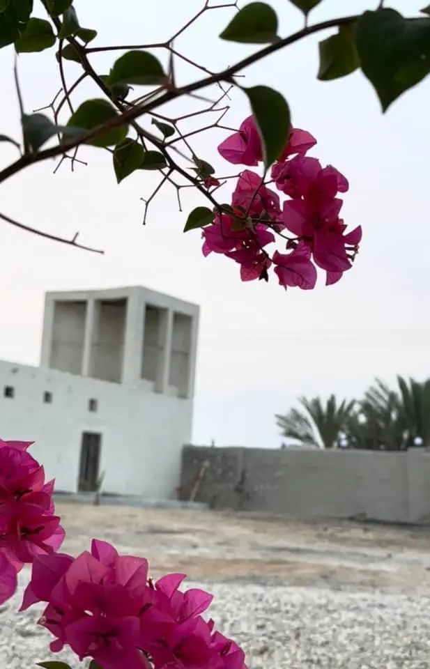 بوم گردی نخل کرچی - واحد بادگیر 3 -     