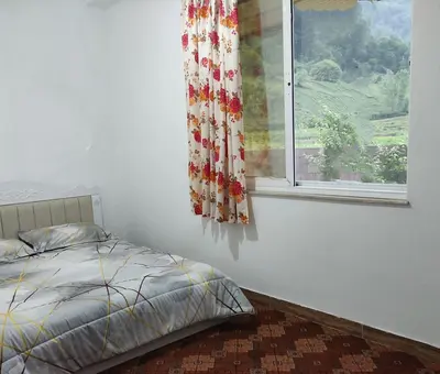 ویلا دوخوابه جنگلی نیازی