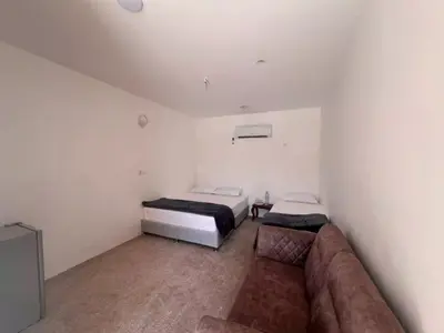 بومگردی ساحلی خماسی هنگام - واحد سه تخته 8